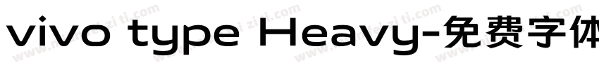 vivo type Heavy字体转换